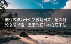 麻豆传媒为什么又被翻出来，这次讨论之所以猛，是因为细节实在压不住