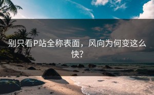 别只看P站全称表面，风向为何变这么快？