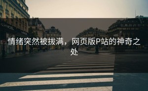 情绪突然被拔满，网页版P站的神奇之处