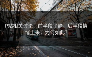P站相关讨论：前半段平静，后半段情绪上来，为何如此？
