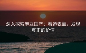 深入探索麻豆国产：看透表面，发现真正的价值