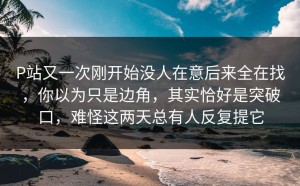 P站又一次刚开始没人在意后来全在找，你以为只是边角，其实恰好是突破口，难怪这两天总有人反复提它