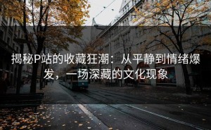 揭秘P站的收藏狂潮：从平静到情绪爆发，一场深藏的文化现象