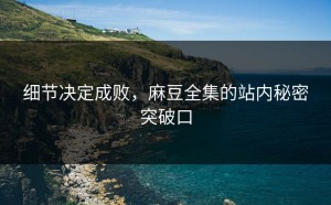 细节决定成败，麻豆全集的站内秘密突破口