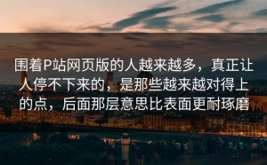 围着P站网页版的人越来越多，真正让人停不下来的，是那些越来越对得上的点，后面那层意思比表面更耐琢磨