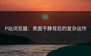 P站浏览器：表面平静背后的复杂运作