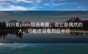 别只看pixiv插画表面，说它是偶然的人，可能还没看到后半段