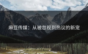 麻豆传媒：从被忽视到热议的新宠