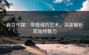 麻豆传媒：带情绪的艺术，深度解析其独特魅力