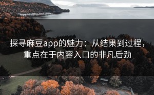 探寻麻豆app的魅力：从结果到过程，重点在于内容入口的非凡后劲