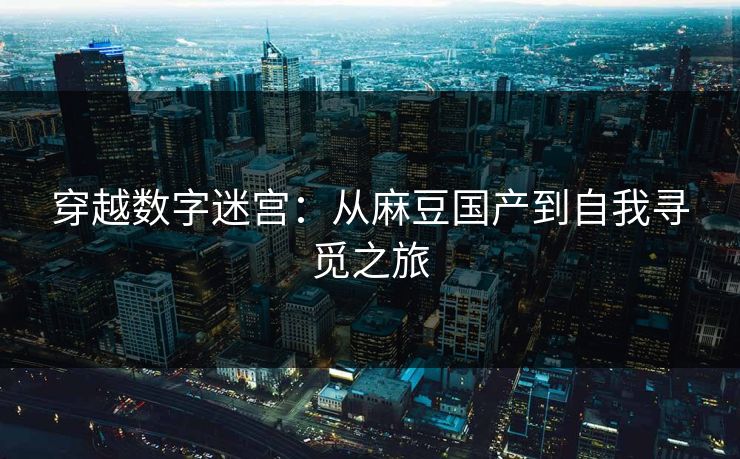 穿越数字迷宫：从麻豆国产到自我寻觅之旅