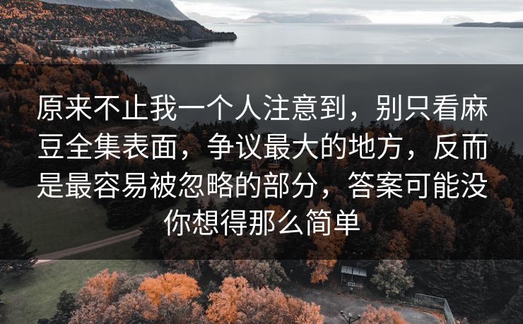 原来不止我一个人注意到，别只看麻豆全集表面，争议最大的地方，反而是最容易被忽略的部分，答案可能没你想得那么简单