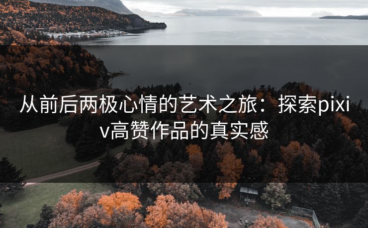 从前后两极心情的艺术之旅：探索pixiv高赞作品的真实感