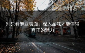 别只看麻豆表面，深入品味才能懂得真正的魅力